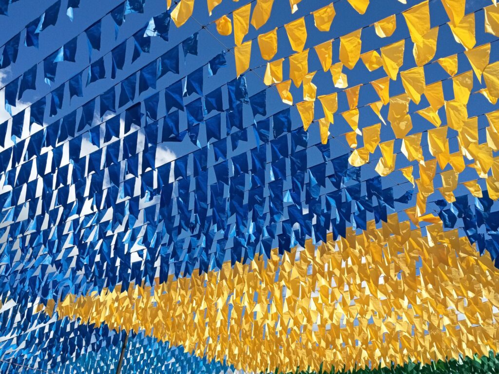 pexels dz anderson video editor ()