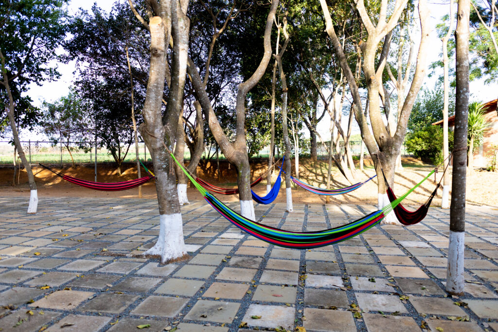 Foto ()